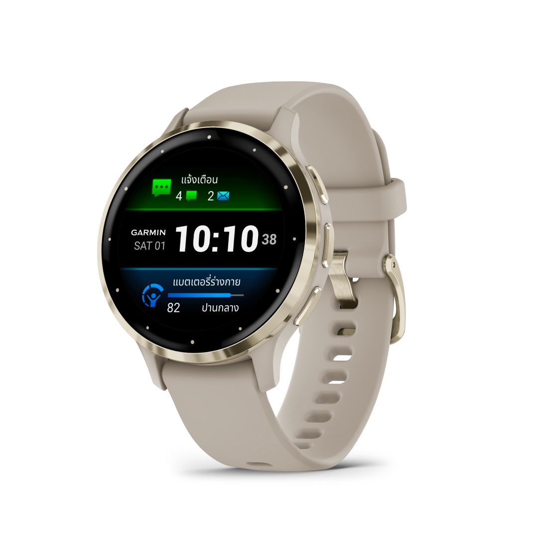 Garmin Venu 3S French Gray