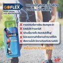 Active Peak GoFlex 2