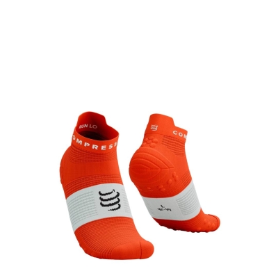 Compressport Pro Racing Socks V4.0 Run Low - Tigerlily/White ถุงเท้าวิ่งข้อสั้น
